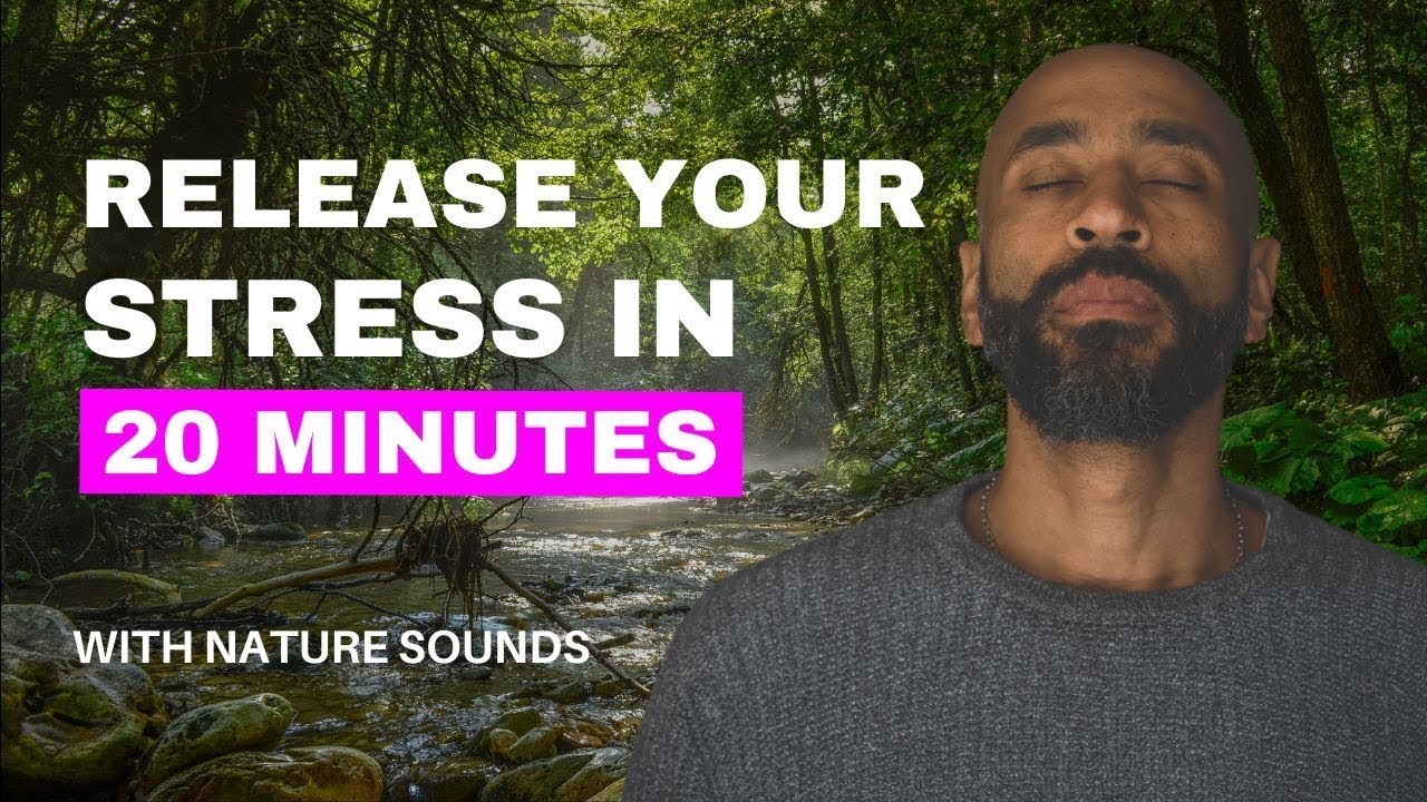 20 Minute Guided Meditation to Release Stress | Your Path to Stress ...
