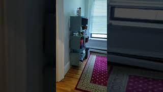 47 East Springfield St. Unit 1 South End 02118