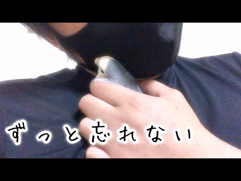 天国へ旅立った愛鳥と私のすべて