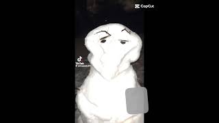 The snowman is ultra sigma brain