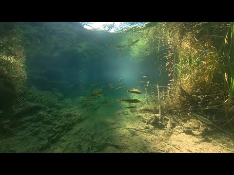 Video: Národný park Krka: Kompletný sprievodca
