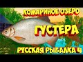 русская рыбалка 4 - Густера озеро Комариное - рр4 фарм Алексей Майоров russian fishing 4