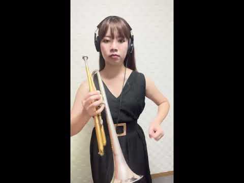 必殺仕事人ゴリゴリに吹いてみた