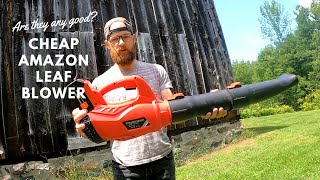 CHEAPEST 20v Mini Leaf Blower on  - Is It Any Good? 