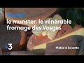 Le munster le vnrable fromage des vosges  mto  la carte