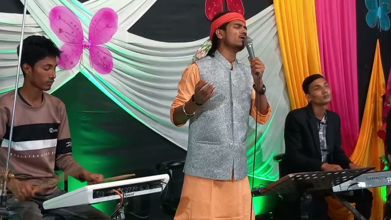 সোয়াচান পাখি ।বাউল রায়হান