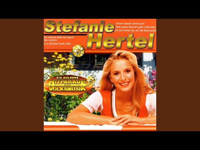 Stefanie Hertel - Lieder, die von Herzen kommen