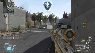 Black Ops 2: DIAMOND DSR Collateral Headshot