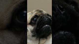 Be Greedy When Others Are Fearful