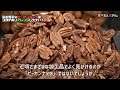 栄養豊富なピーカンナッツはコクがありアレンジしやすい！
