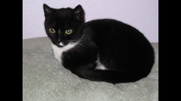 how to get to level 513 and level 514 in the backrooms redacted?