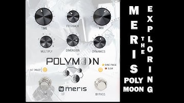 Exploring the Meris Polymoon