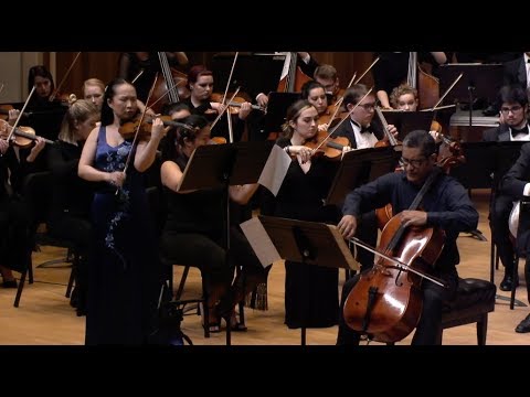 Lawrence Symphony Orchestra - November 10, 2018