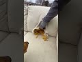 so crazy #viral #trending #short