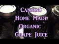 Making & Canning Organic Grape Juice!!