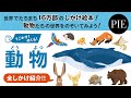 【全しかけ紹介】ワクワクがいっぱいの動物たちの世界をのぞける絵本『うごかす！めくる！動物』