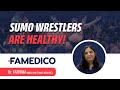 The Truth About Sumo Wrestlers!