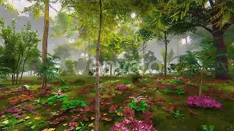 Forest And Fog | Motion Graphics - Envato elements