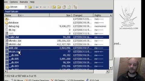 Bitcoin Install and Update on Ubuntu Linux ( my experience )
