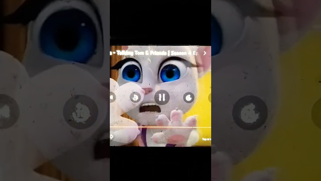 Talking Tom & Friends