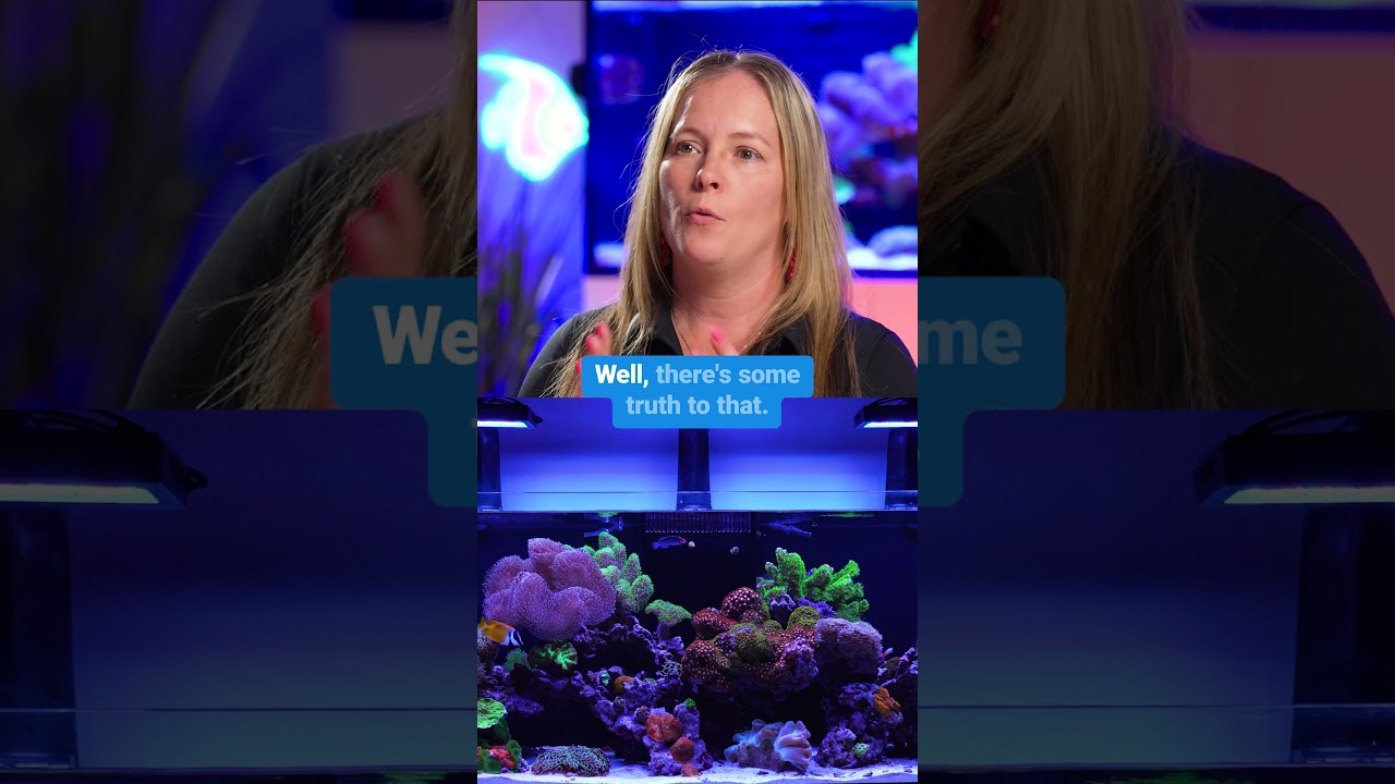 What Actually Causes Algae Outbreaks
