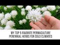 My Top 5 Fav Perennial Culinary Herbs