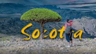 أهلاً بكم في جزيرة سقطرى | Welcome to Socotra Island 