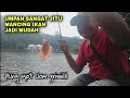 Umpan nya terlalu gacor || bikin mancing jadi mudah