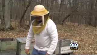 Keeping Bees in Benzie County
