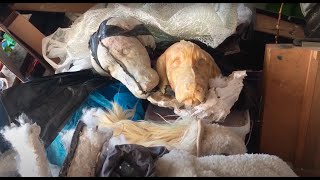 In the studio with artist & sculptor Robert McCormack (Virtual Fridays March 2021)