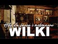 🎼 Wilki – Złota Kolekcja Rockowych Hitów, Które Przeszły Do Historii