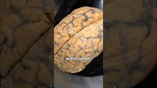 Celebrity What Happens As the Body Dies Net Worth