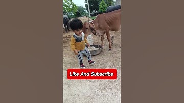 #mrindianhackers #tutorialfilter #trekflax #kv18 #amanyt