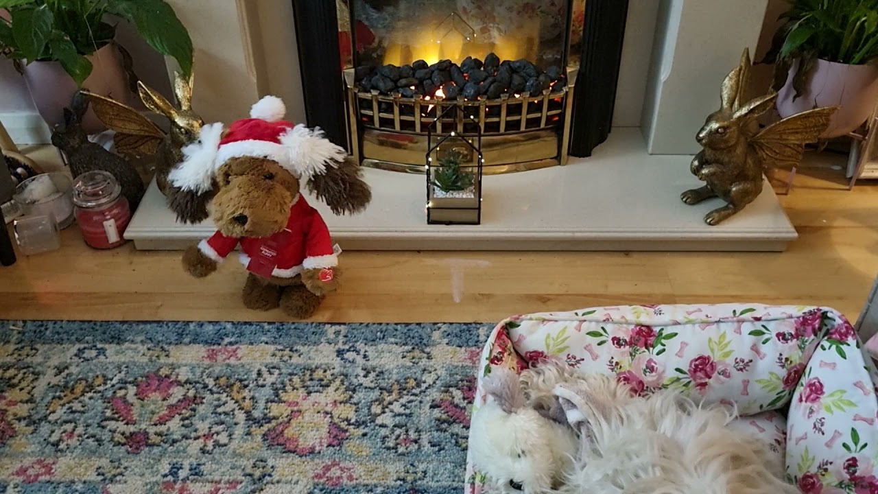 ASDA animated puppy xmas 2021 YouTube