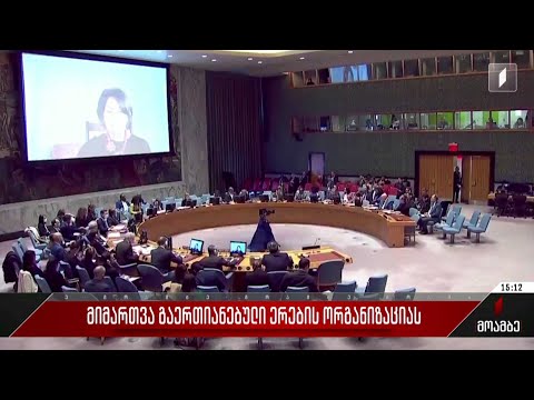 მიმართვა გაერთიანებული ერების ორგანიზაციას