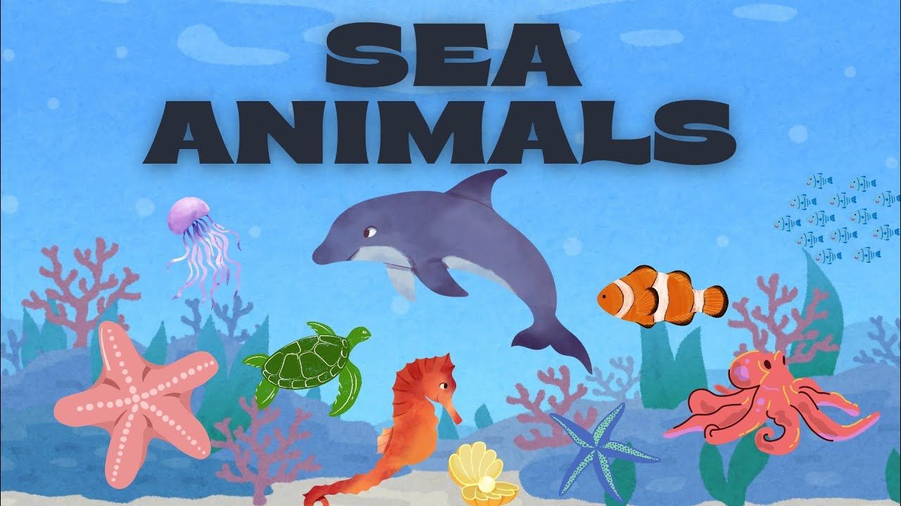 Learn Sea Animals Name | Fun Learning Video For Kids | Fun Vizz - YouTube