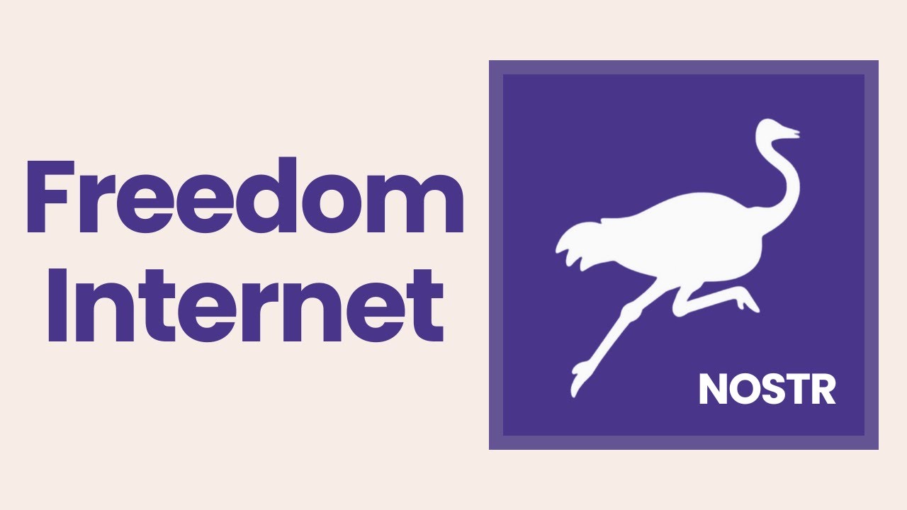 NOSTR Explained for Beginners ⚡️✨