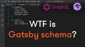 WTF is Gatsby schema?