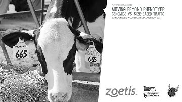 MOVING BEYOND PHENOTYPE: GENOMICS VS. SIZE-BASED TRAITS – ZOETIS VIDEO #6