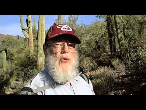 Grumpy Jii-san is out at the Old Ball Game