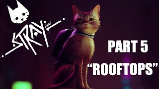 STRAY PC Walkthrough Gameplay Part 5 - Chapter 5 RoofTops (FULL GAME) - No Commentary