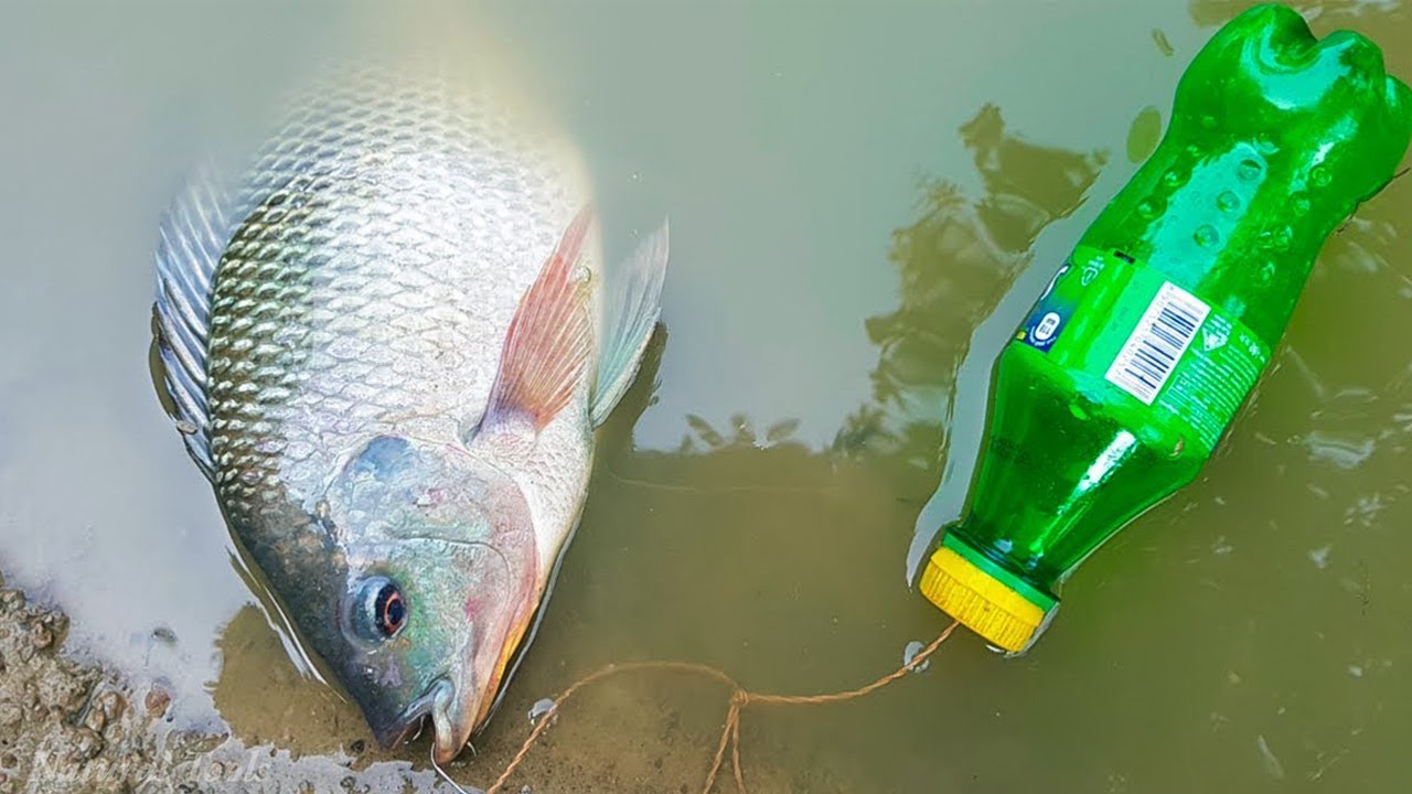 Amazing Boys Catch Fish With Plastic Bottle Fish Trap Fishing
