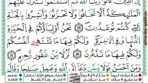 سورة { فصلت } مكتوبة بصوت القارئ الشيخ عمر القزابري برواية ورش عن نافع.
