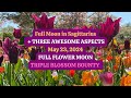 Full Moon in Sagittarius May 23, 2024+3 AWESOME ASPECTS Full Flower Moon TRIPLE BLOSSOM BOUNTY.