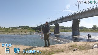 歴史を感じる日野で釣りぶら散歩。もう暑い日の多摩川は泳げるのですねー。東京都 日野で小物釣り。