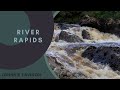 8 Hours Relaxing Sounds of Nature-Bird Sounds-Water Sounds-Waterfall-Birds singing