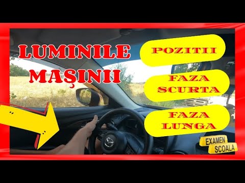 Video: Cât costă să rulezi lumini de joasă tensiune peisaj?