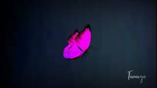 Tamasya Band - Antarkan Aku