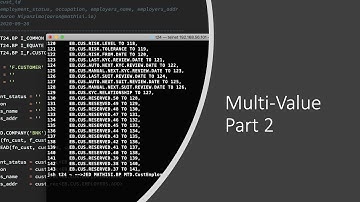 3. T24 Programming Series|Learn the best practice and advanced techniques - MultiValue & Subroutine