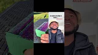 Elle Va Pas M’avoir😂☠️